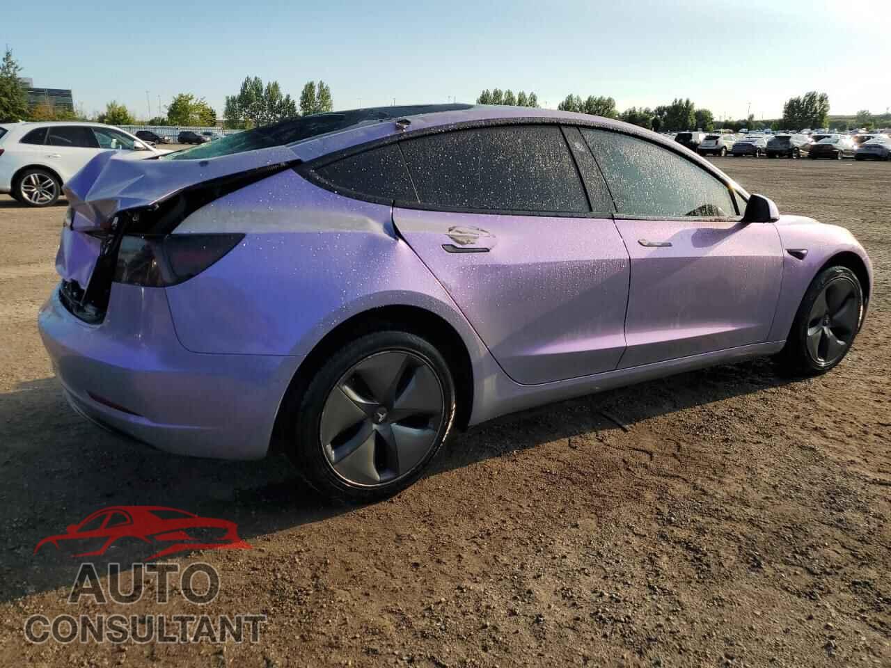 TESLA MODEL 3 2019 - 5YJ3E1EA4KF419995