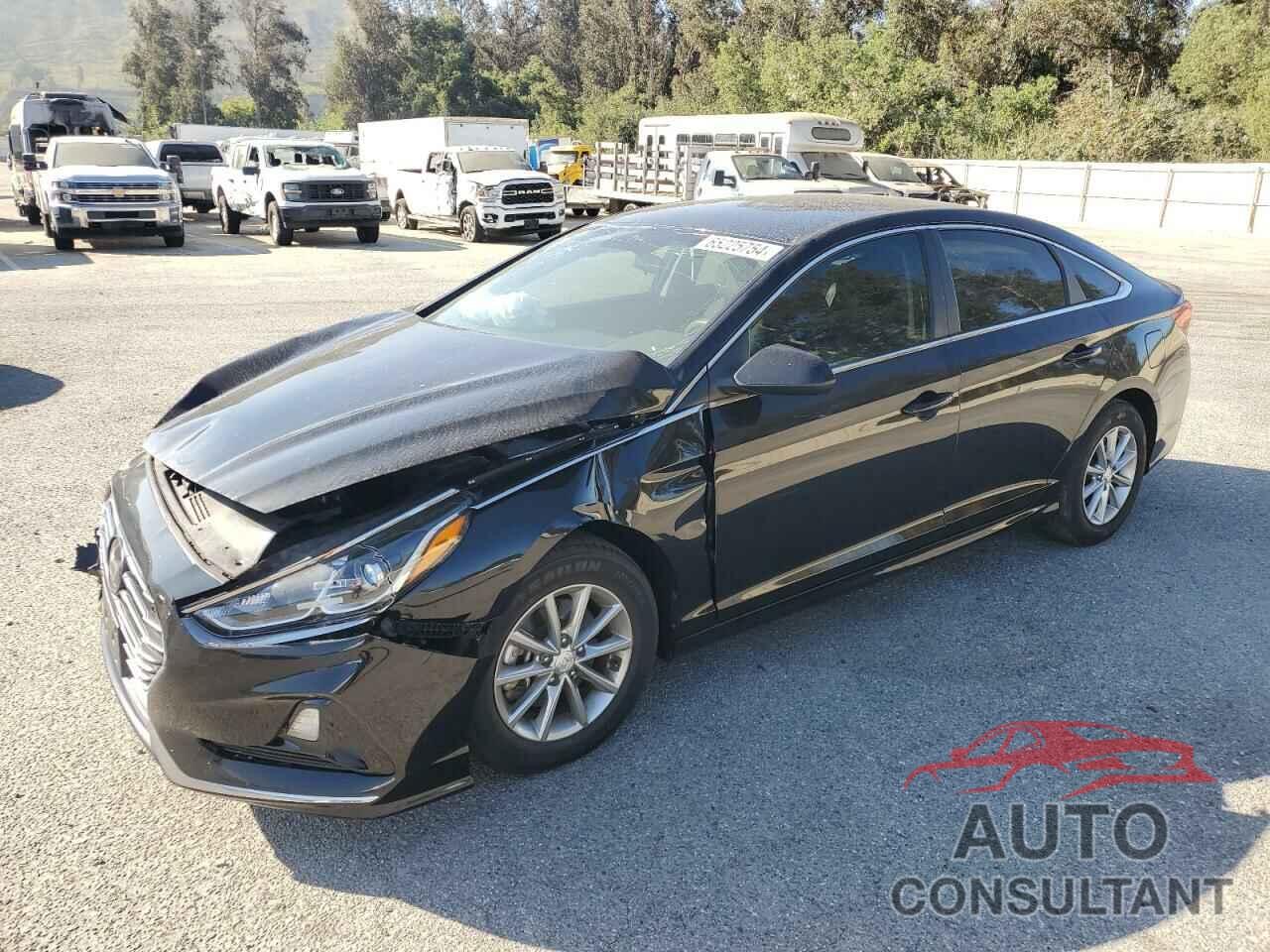 HYUNDAI SONATA 2019 - 5NPE24AF3KH770757