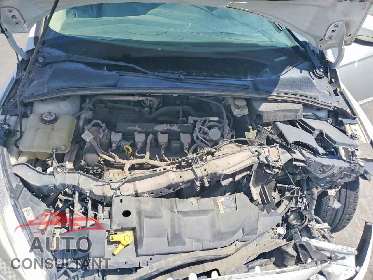 FORD FOCUS 2017 - 1FADP3F21HL248829