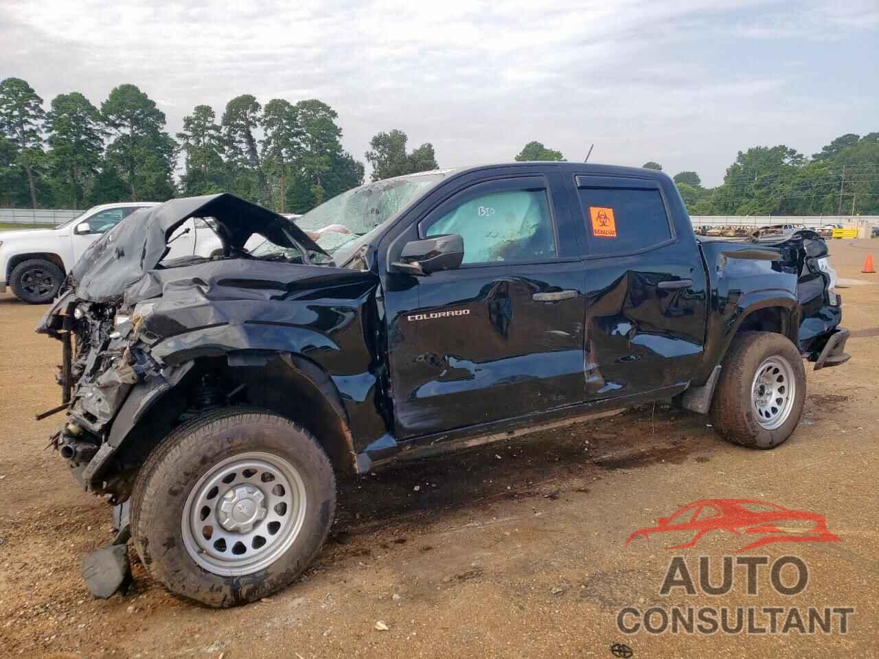 CHEVROLET COLORADO 2024 - 1GCPSBEK6R1296387