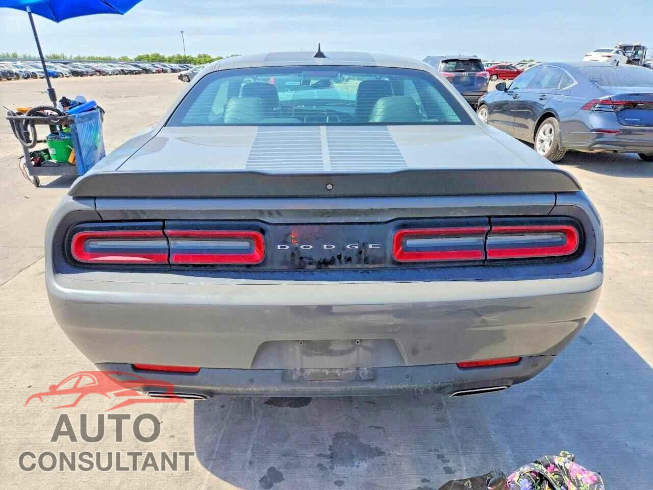 DODGE CHALLENGER 2019 - 2C3CDZAG0KH702291
