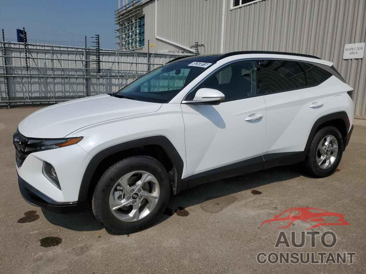HYUNDAI TUCSON 2024 - KM8JCCDE8RU330165