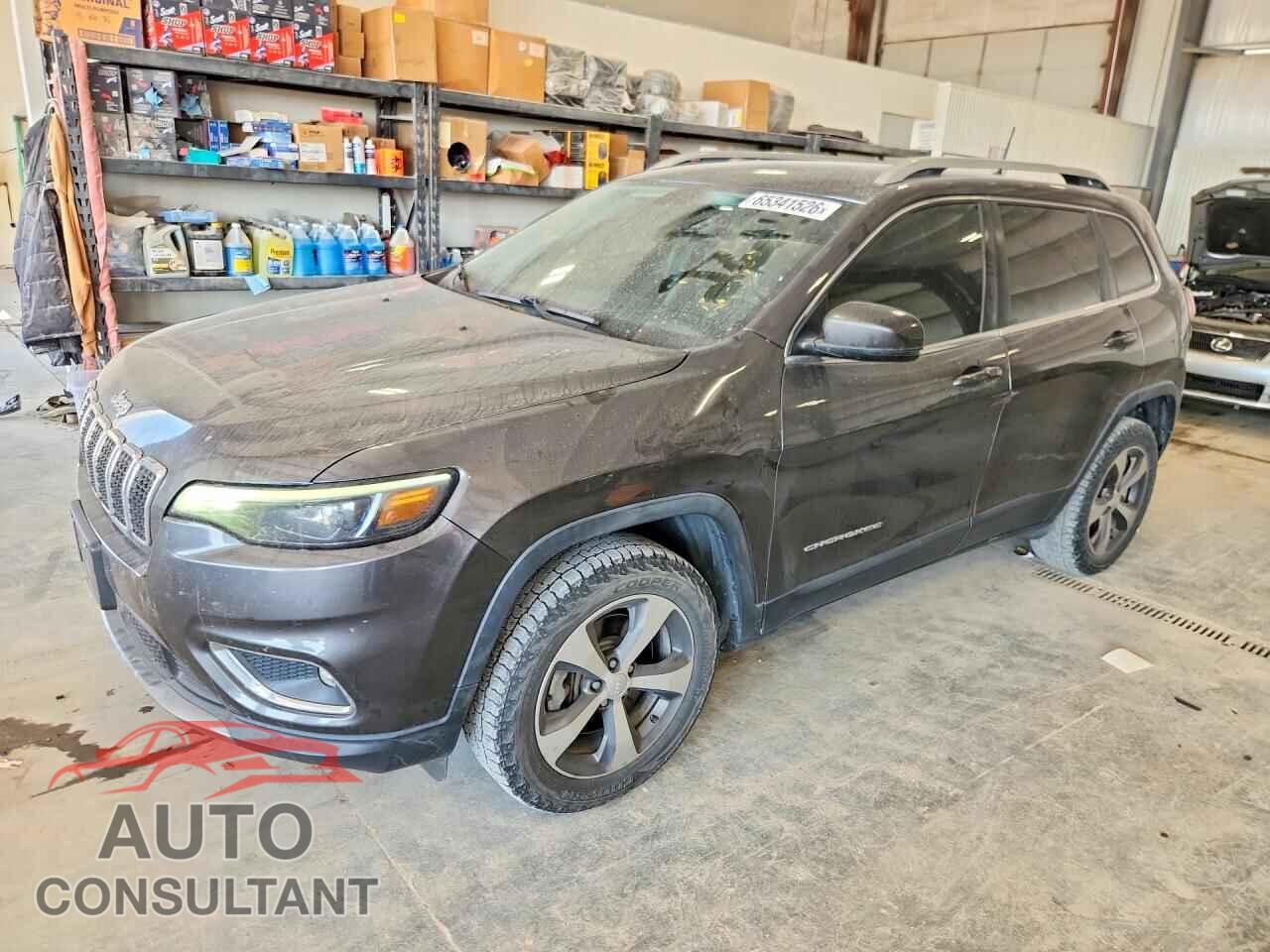 JEEP CHEROKEE 2019 - 1C4PJMDX1KD467577