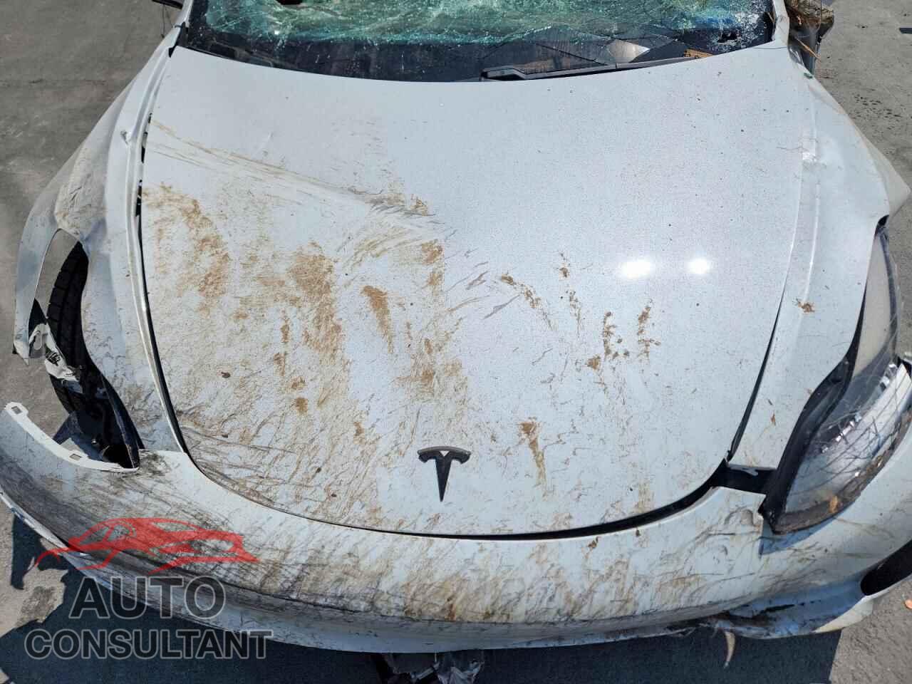 TESLA MODEL 3 2021 - 5YJ3E1EB3MF980622