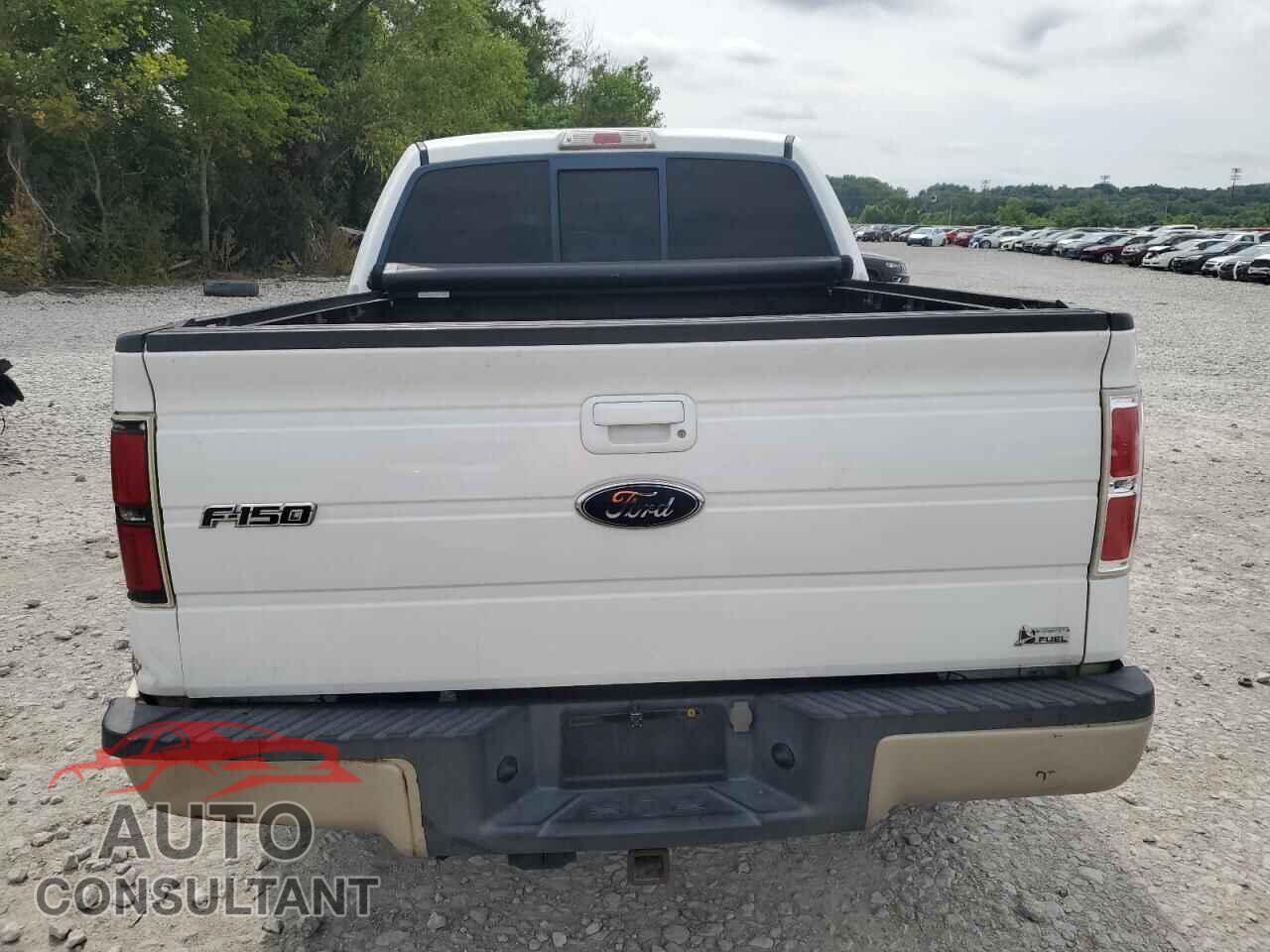 FORD F-150 2010 - 1FTFW1CV7AFB93140