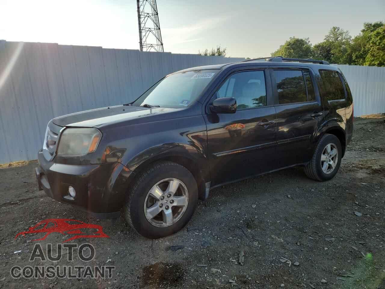 HONDA PILOT 2011 - 5FNYF4H55BB009564