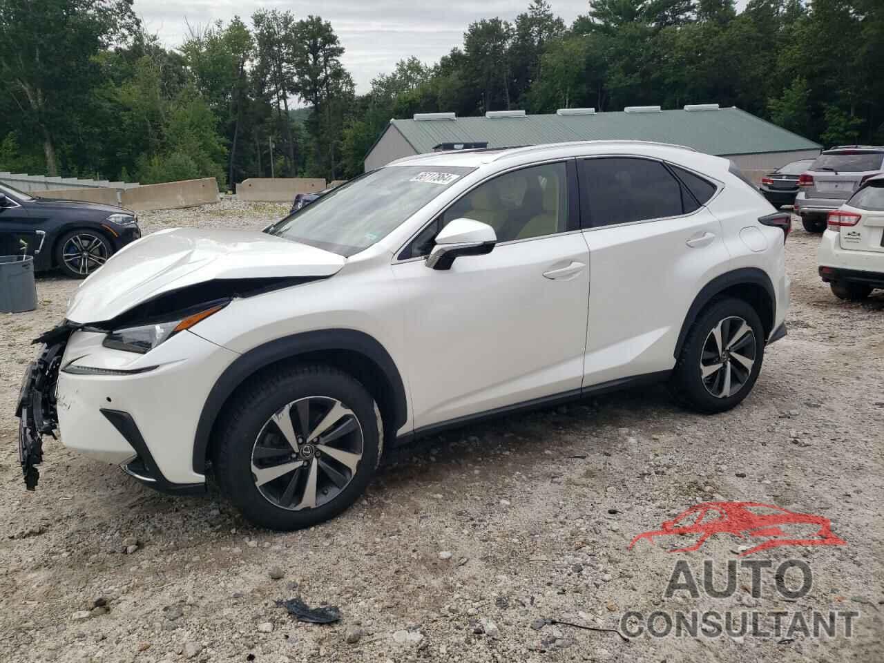 LEXUS NX 2019 - JTJBARBZ4K2184529