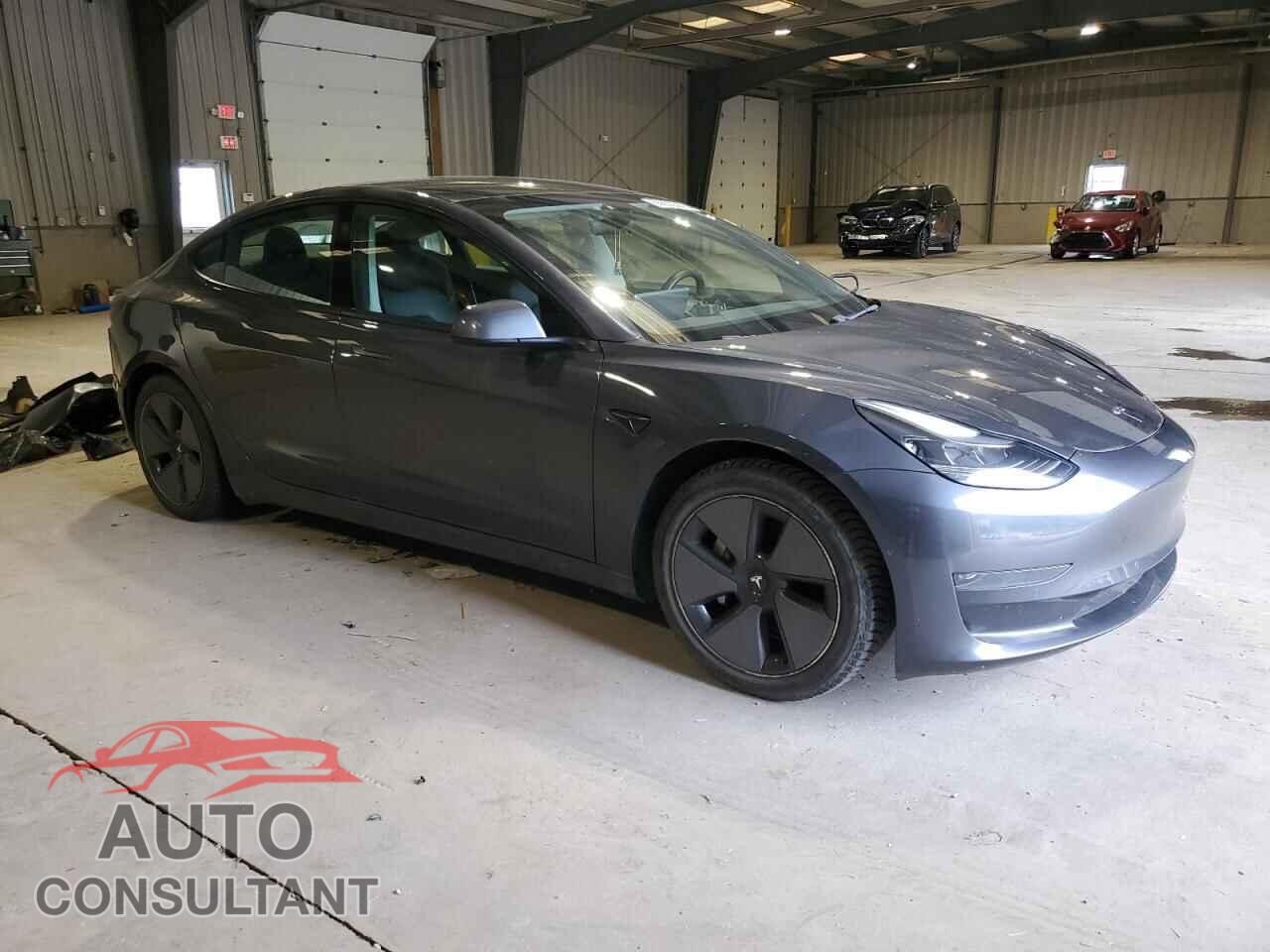 TESLA MODEL 3 2021 - 5YJ3E1EA4MF919481
