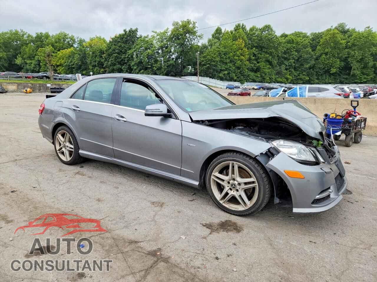 MERCEDES-BENZ E-CLASS 2012 - WDDHF8JB7CA597331