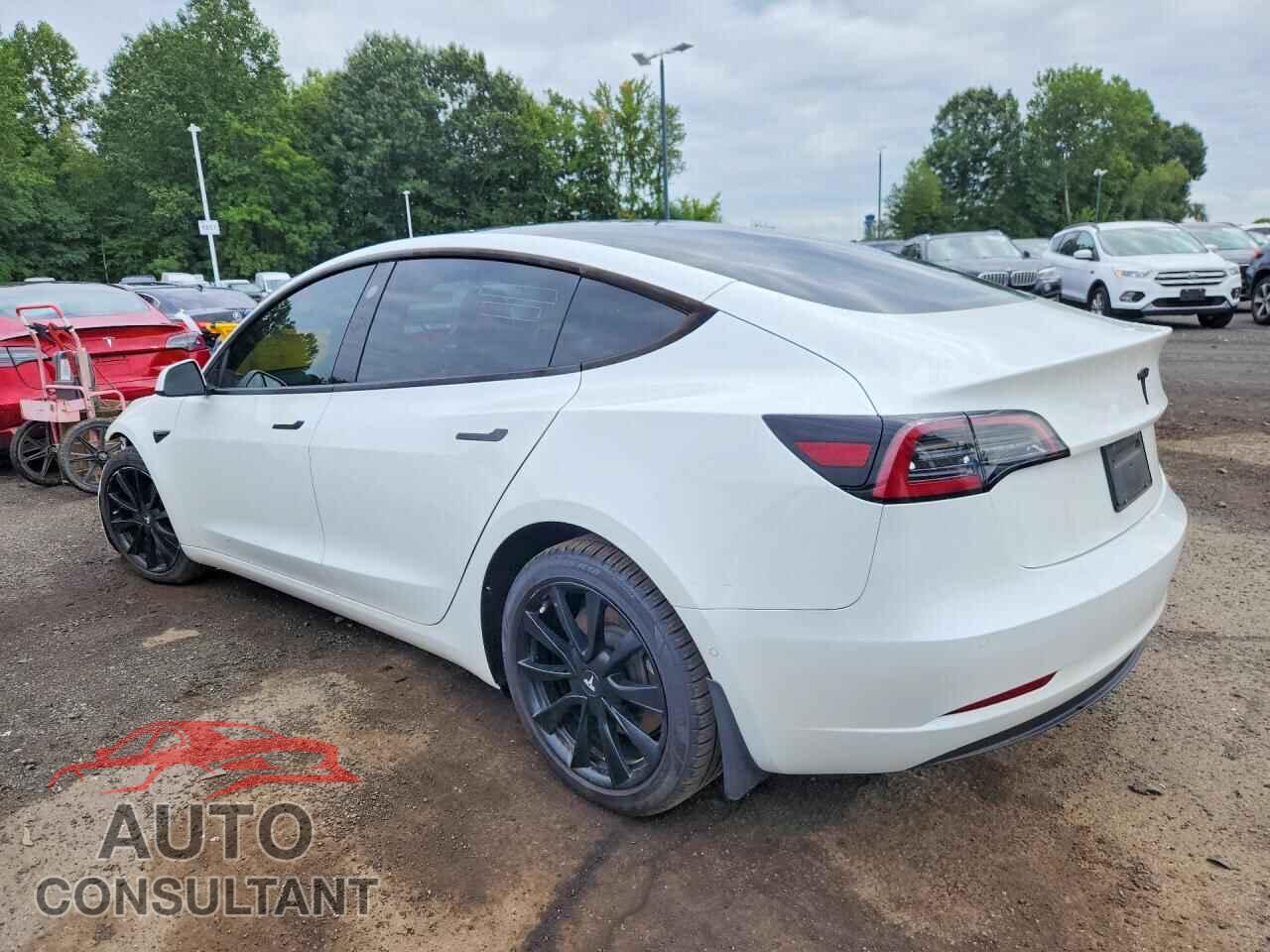 TESLA MODEL 3 2021 - 5YJ3E1EA3MF043812