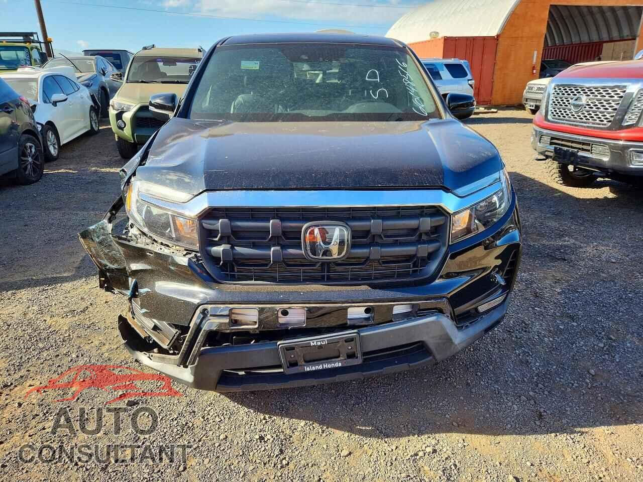 HONDA RIDGELINE 2024 - 5FPYK3F58RB007639