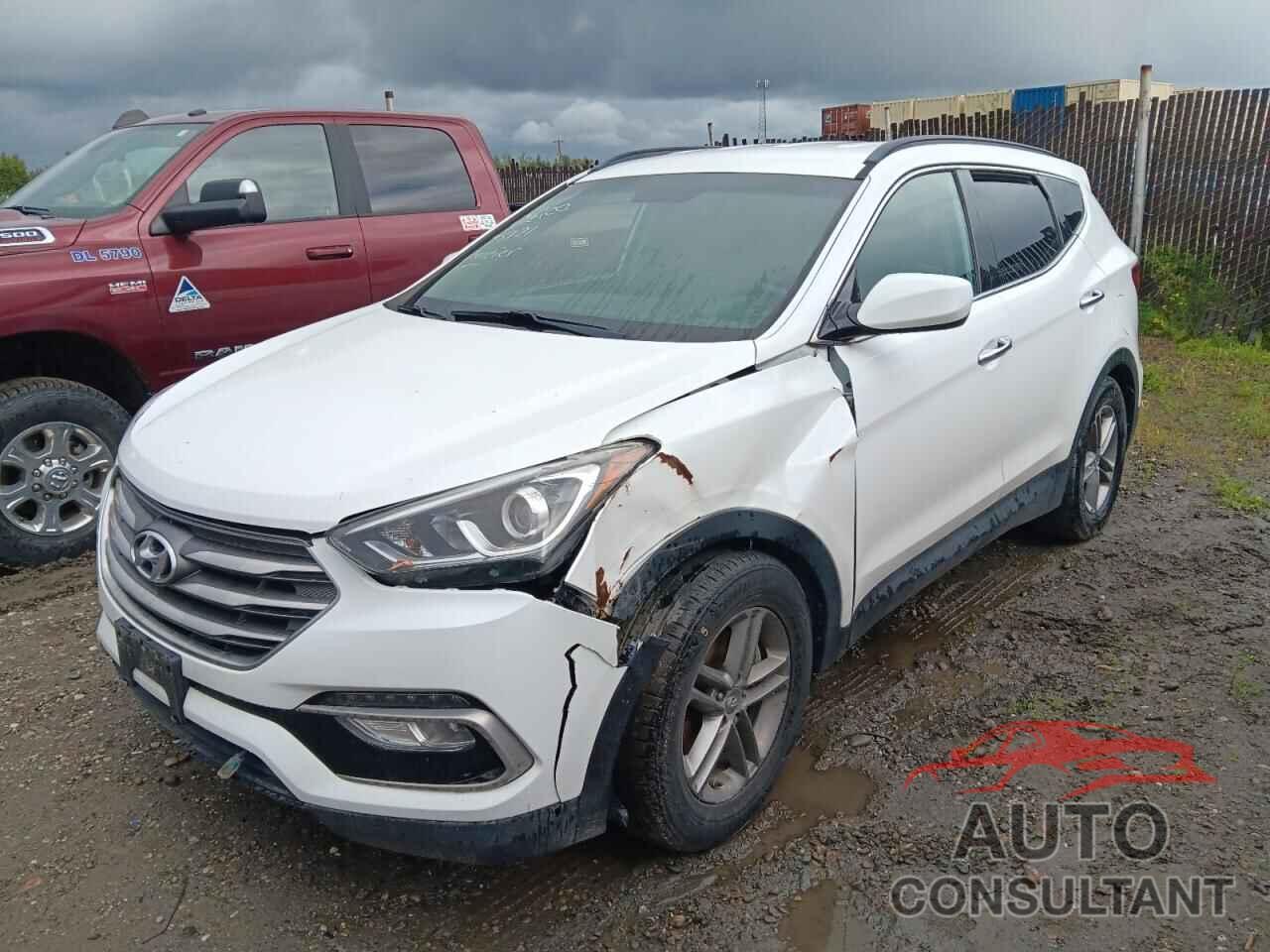 HYUNDAI SANTA FE 2017 - 5NMZUDLB9HH025121