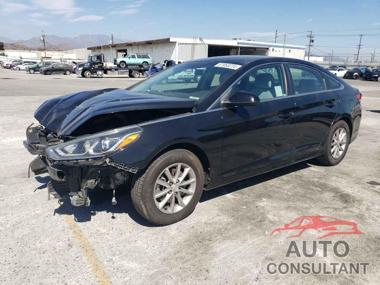 HYUNDAI SONATA 2019 - 5NPE24AF4KH736164