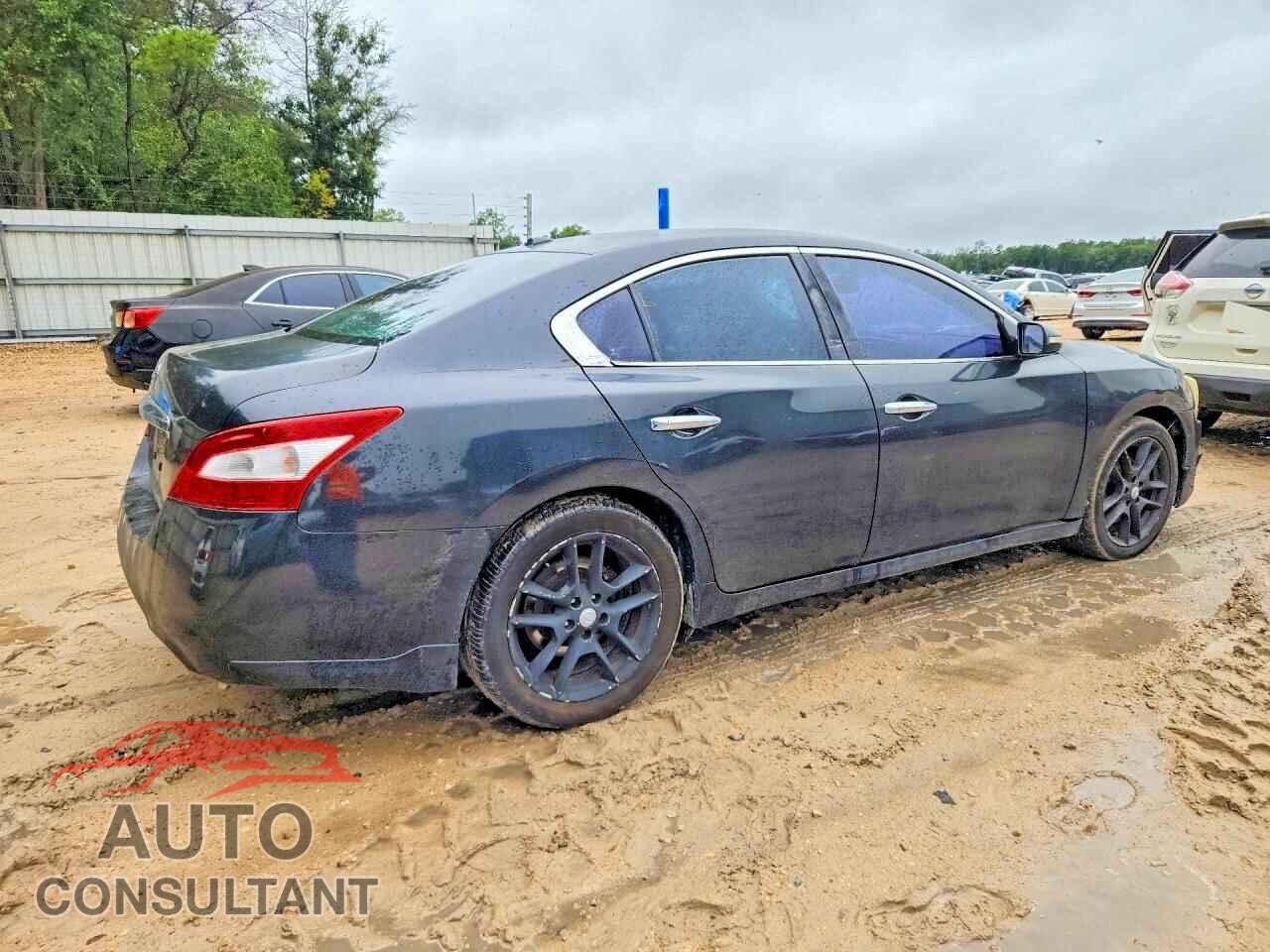 NISSAN MAXIMA 2011 - 1N4AA5AP5BC801346
