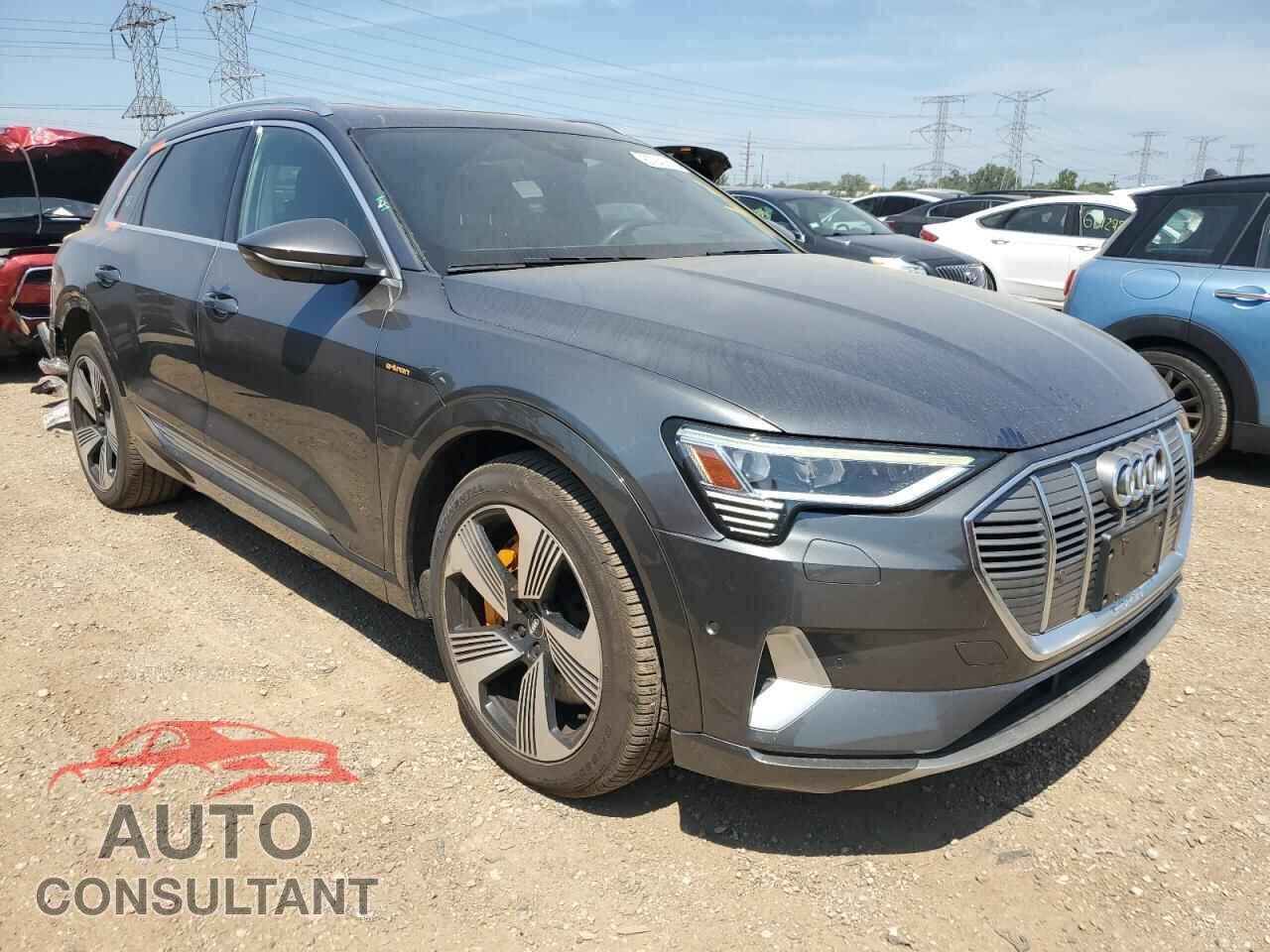 AUDI E-TRON 2019 - WA1VAAGE2KB006927