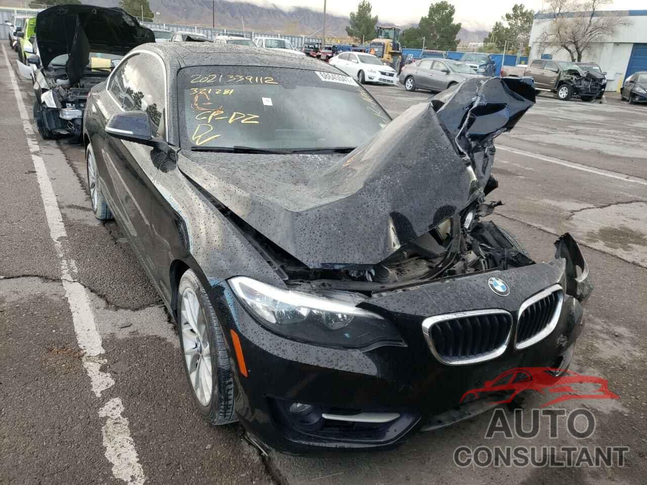 BMW 2 SERIES 2016 - WBA1F9C53GV546333