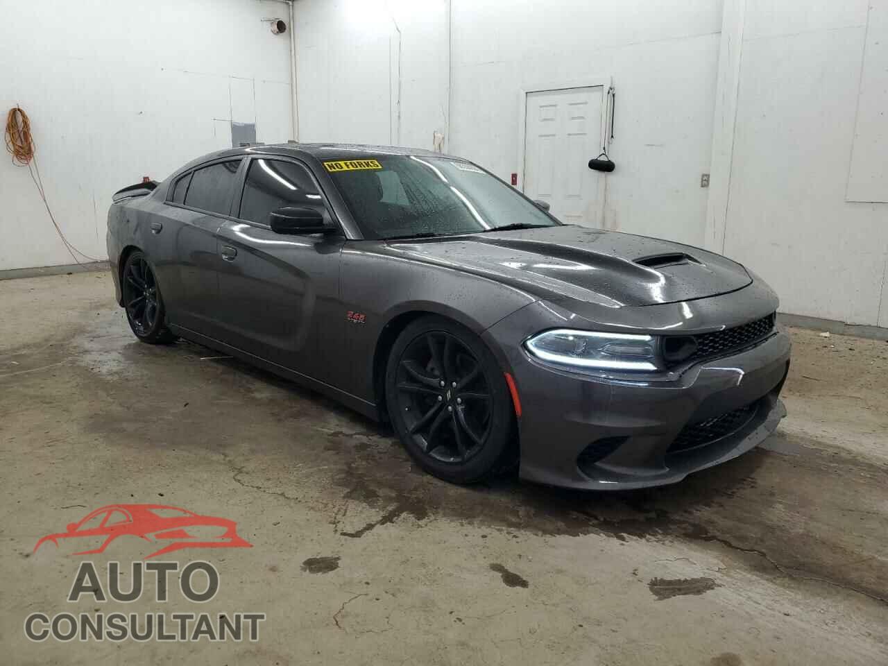 DODGE CHARGER 2017 - 2C3CDXCT1HH623669