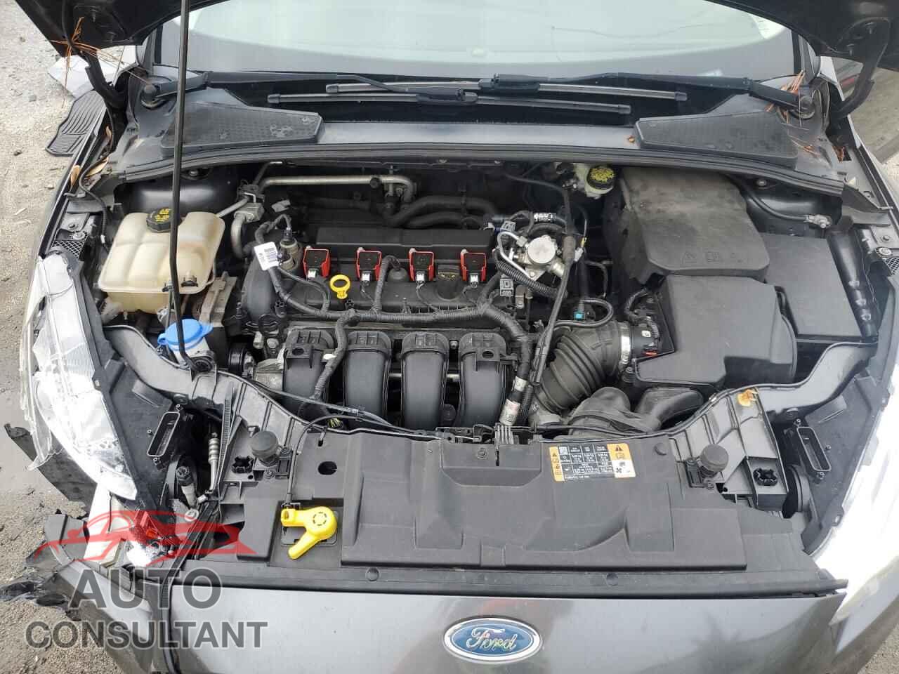 FORD FOCUS 2016 - 1FADP3F24GL399534