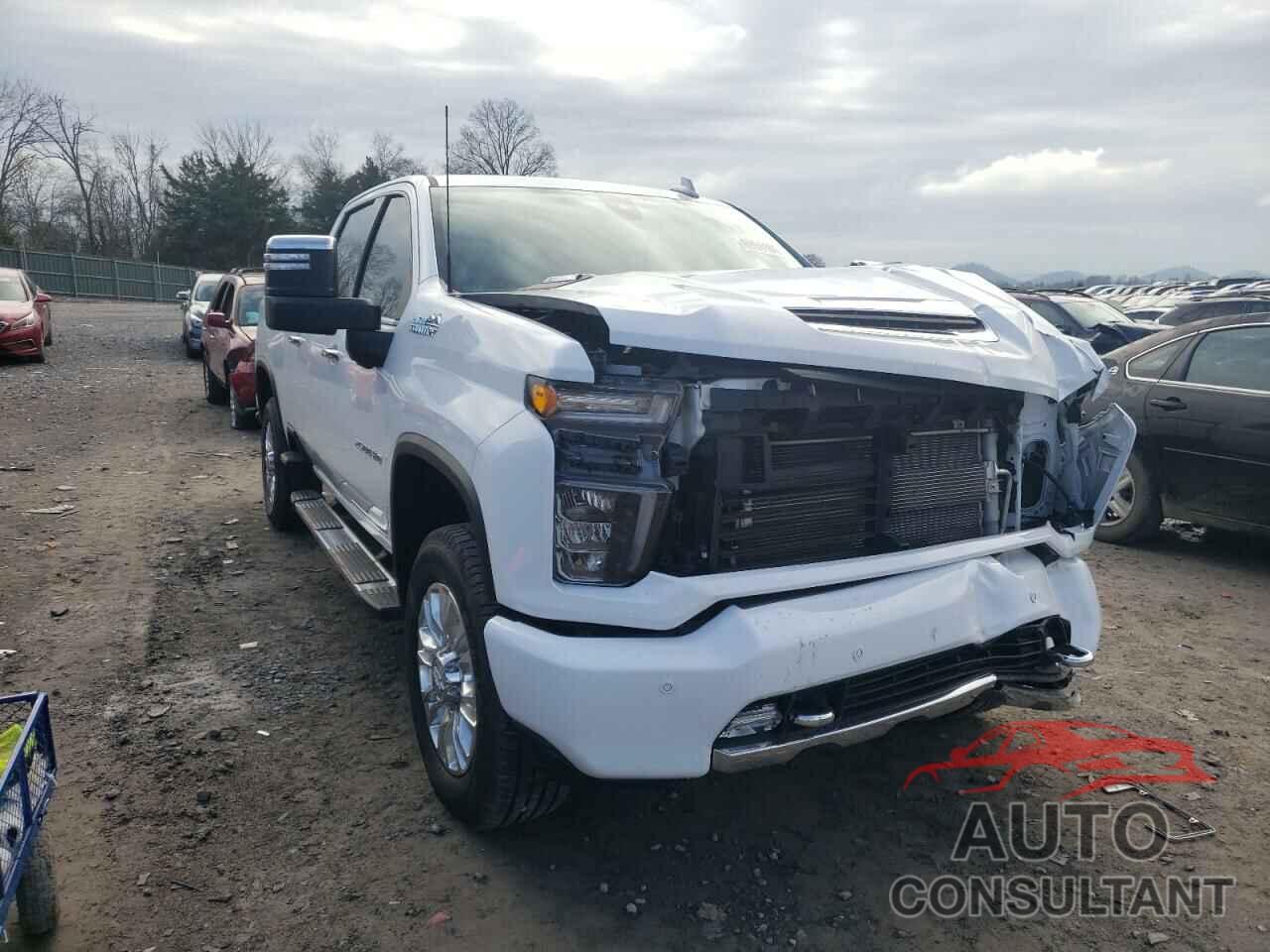 CHEVROLET SILVERADO 2020 - 1GC4YREY1LF112546