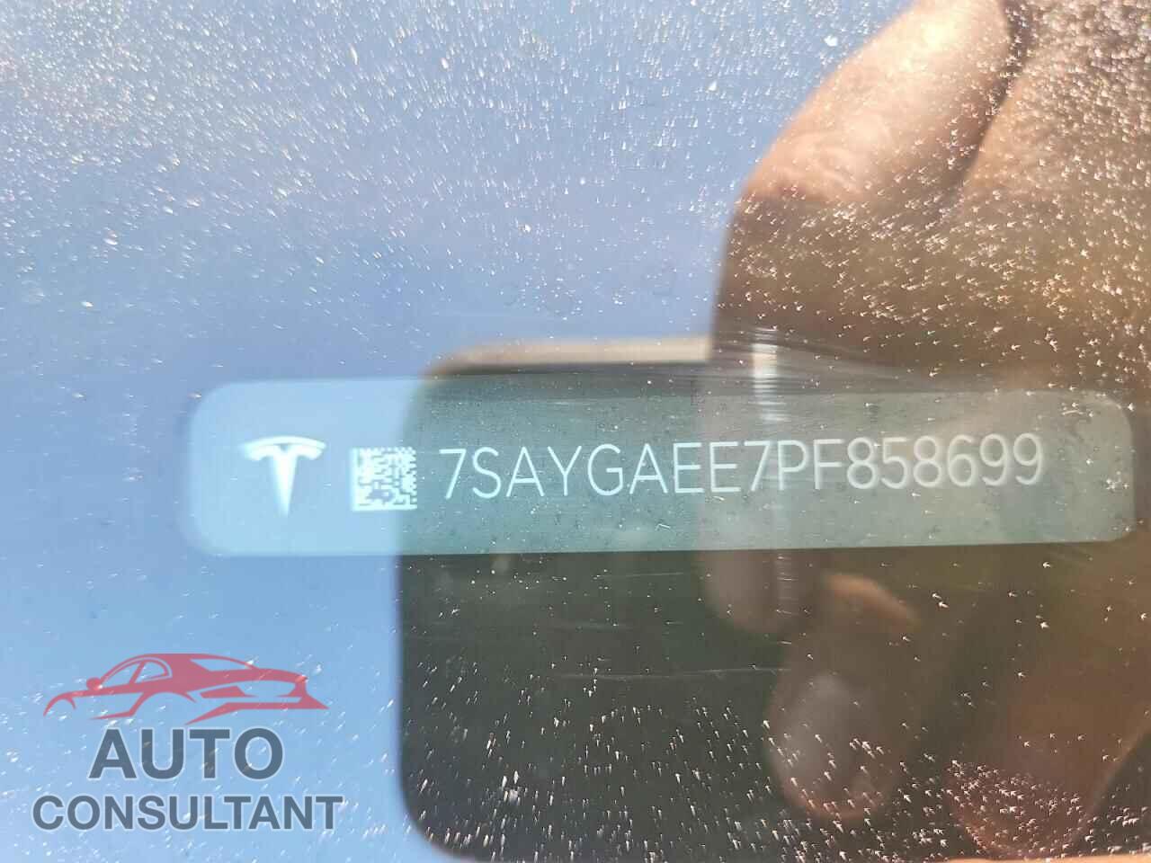 TESLA MODEL Y 2023 - 7SAYGAEE7PF858699