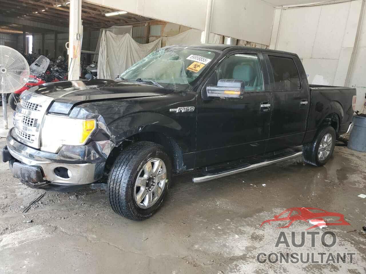 FORD F-150 2013 - 1FTFW1CF0DFD15009