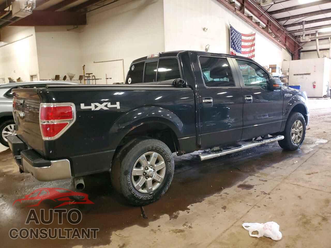 FORD F150 2013 - 1FTFW1EF5DFA45224