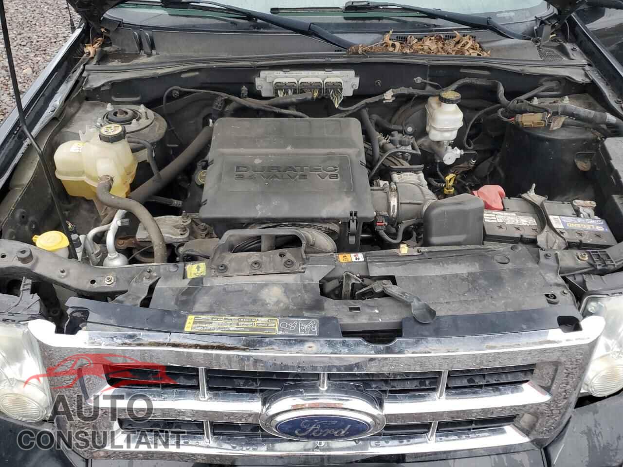 FORD ESCAPE 2010 - 1FMCU0DG2AKA03069
