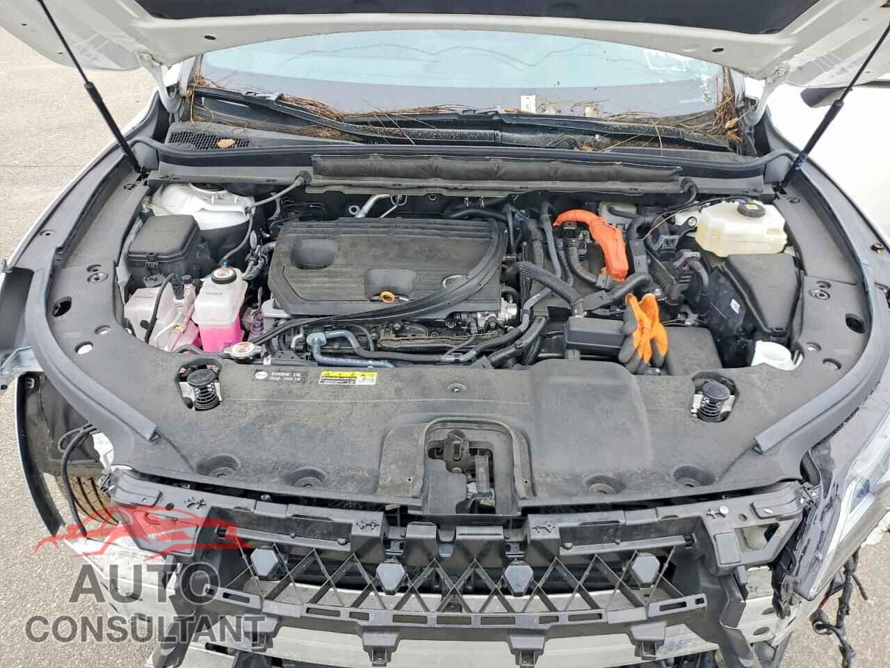 LEXUS UNKNOWN 2024 - 2T2BBMCA6RC046090