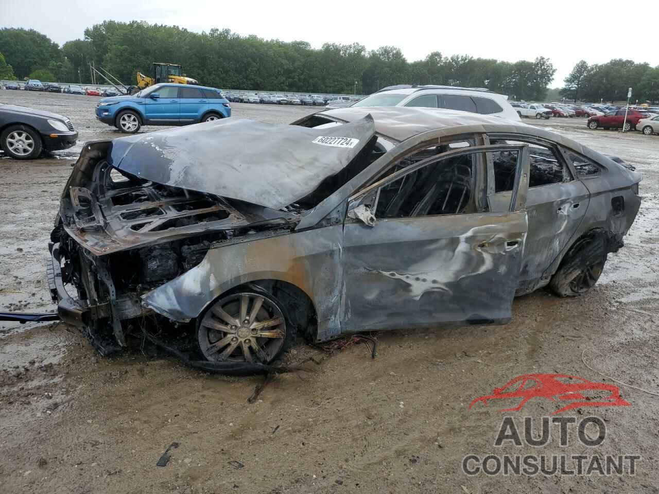 HYUNDAI SONATA 2017 - 5NPE24AF2HH452203
