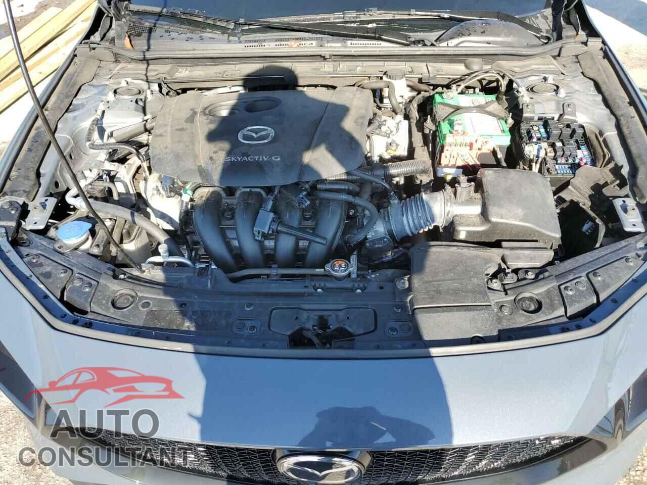 MAZDA 3 2019 - JM1BPBNM4K1135779