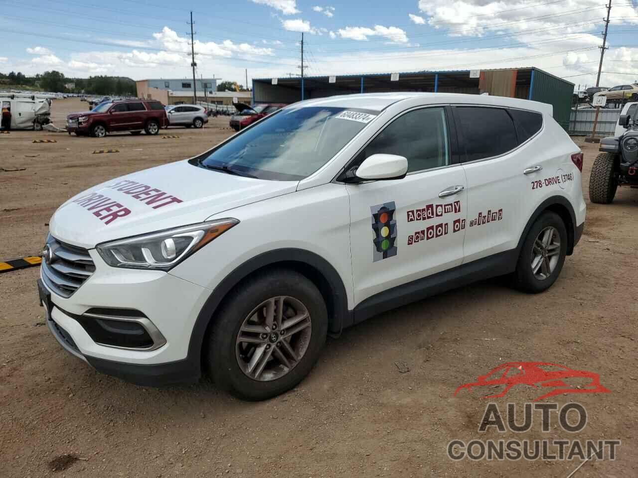 HYUNDAI SANTA FE 2017 - 5NMZTDLB6HH016802