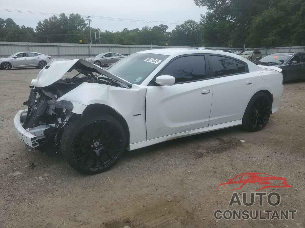 DODGE CHARGER 2019 - 2C3CDXCT6KH738467