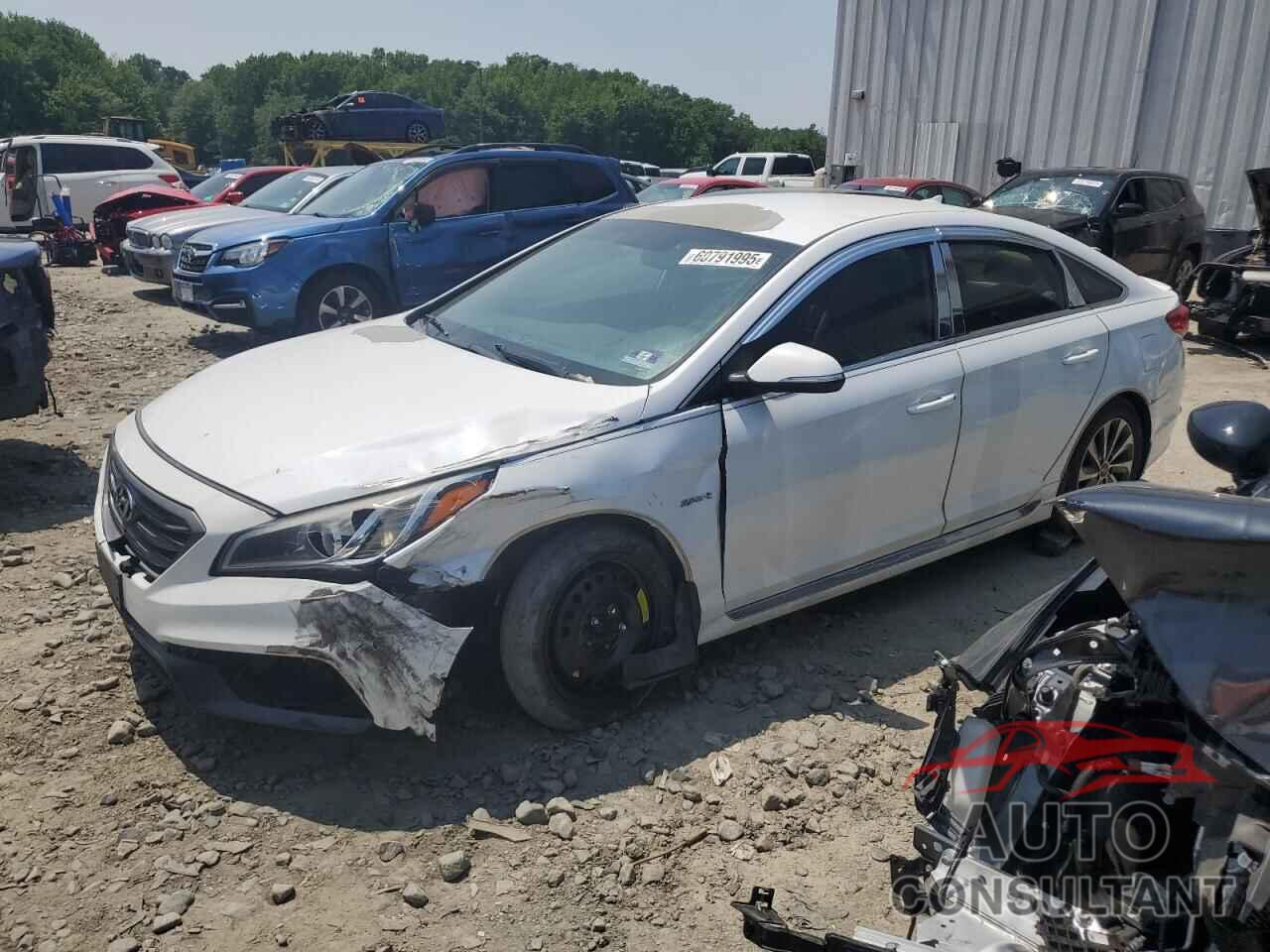 HYUNDAI SONATA 2017 - 5NPE34AF1HH559787