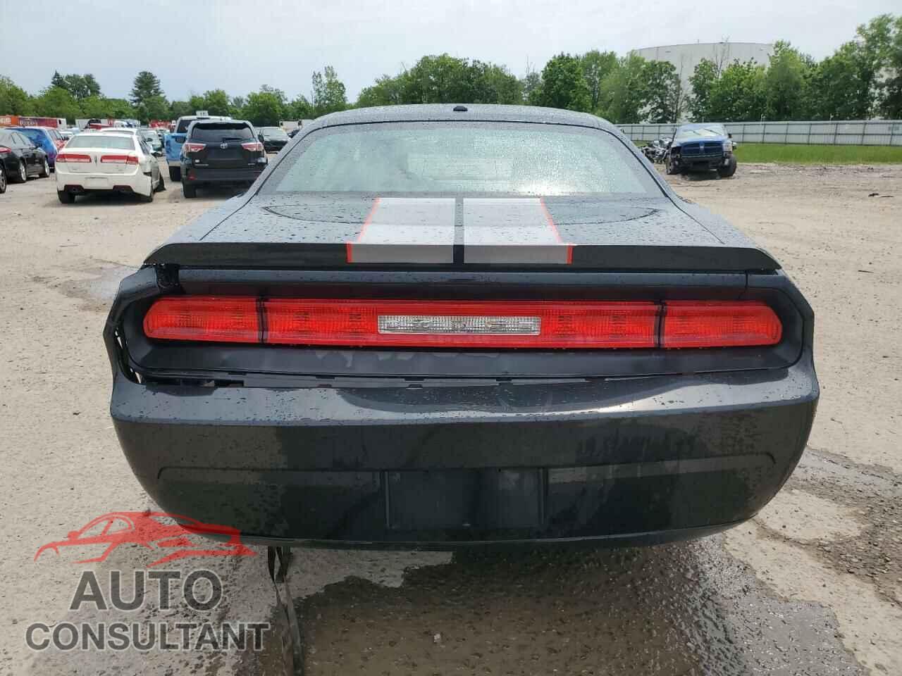 DODGE CHALLENGER 2010 - 2B3CJ4DV4AH219856