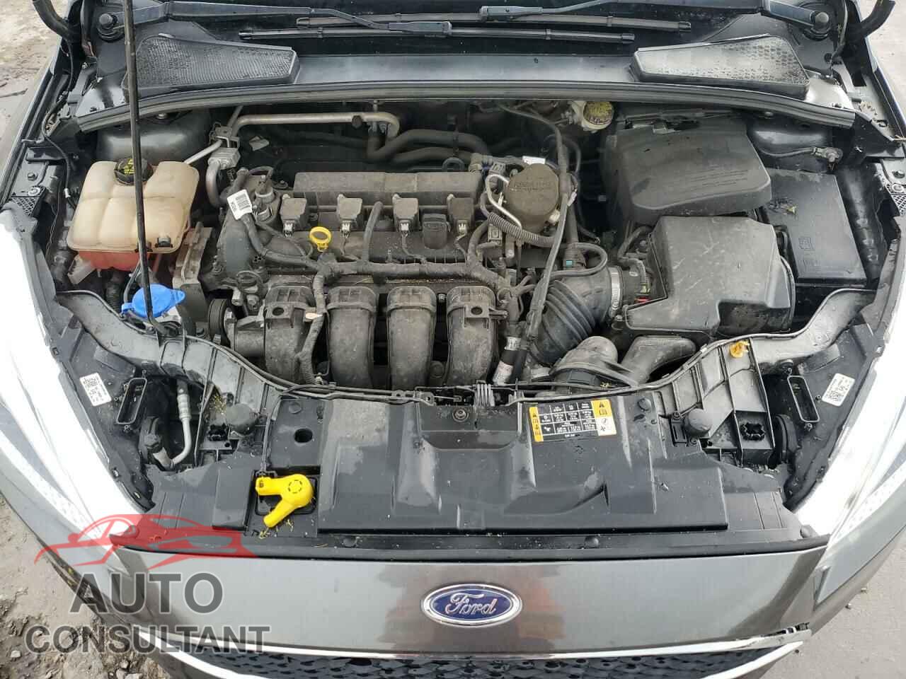 FORD FOCUS 2016 - 1FADP3F27GL292350