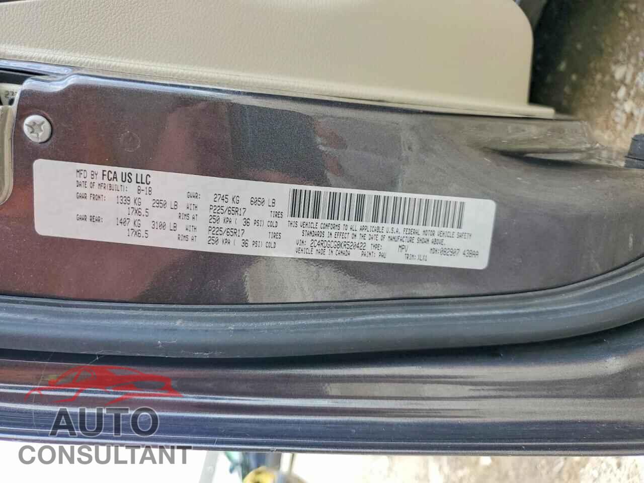 DODGE CARAVAN 2019 - 2C4RDGCG8KR520422