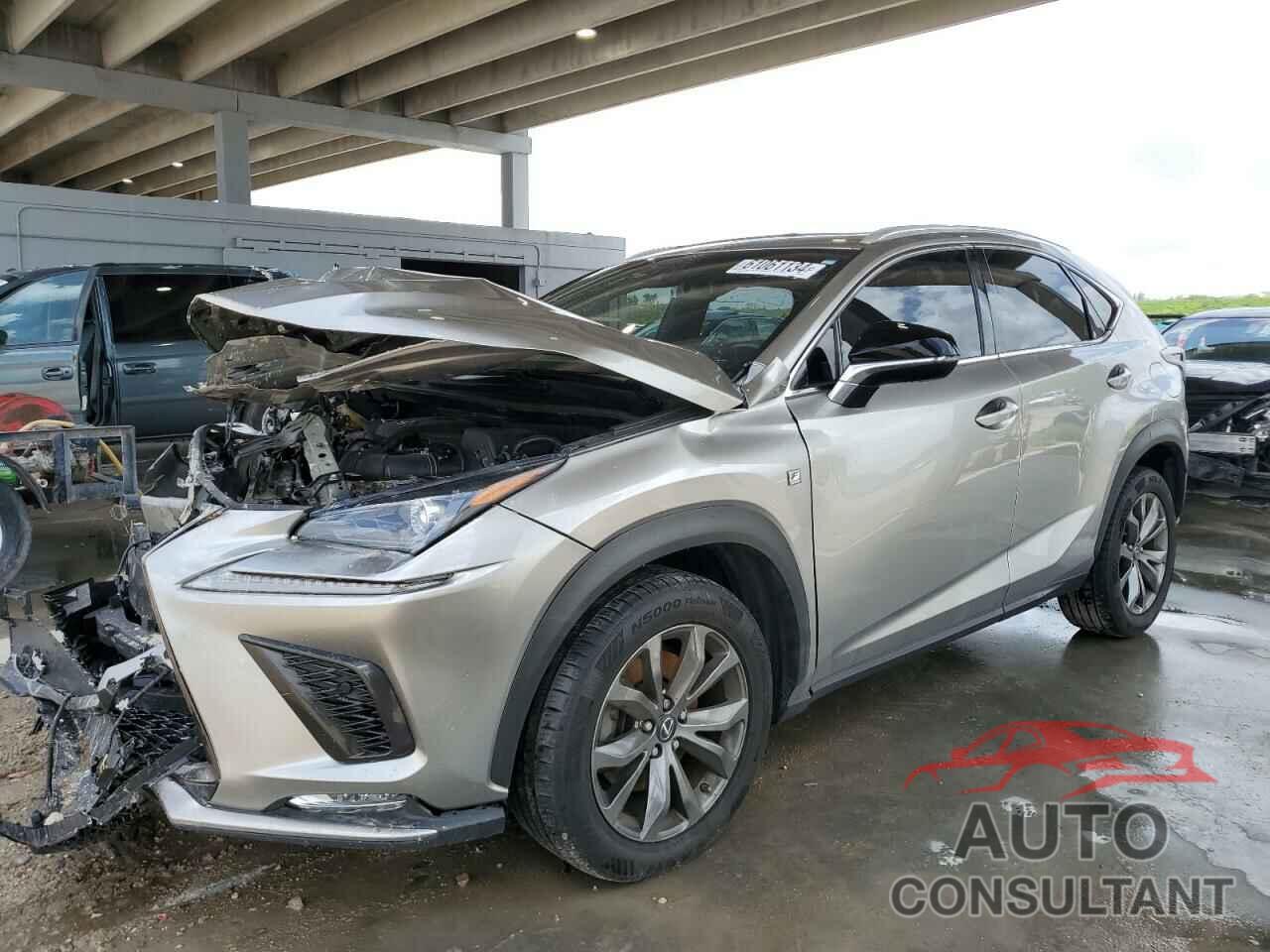 LEXUS NX 2019 - JTJYARBZ3K2136448