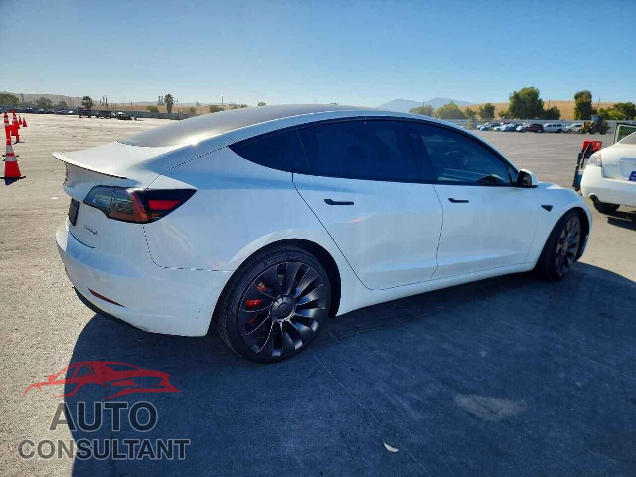 TESLA MODEL 3 2021 - 5YJ3E1EC4MF876245