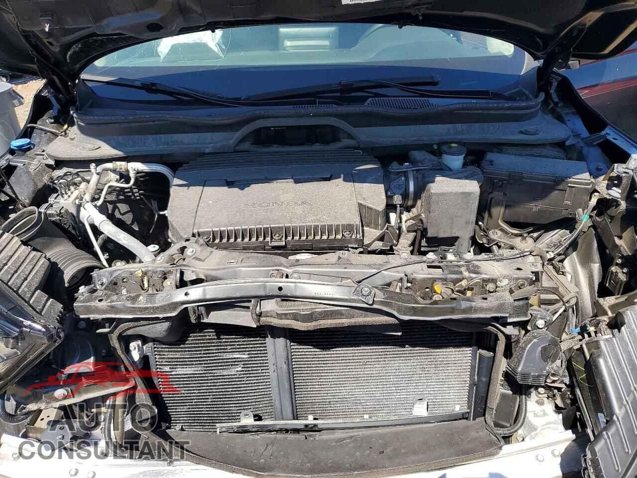 HONDA PILOT 2024 - 5FNYG1H59RB026647