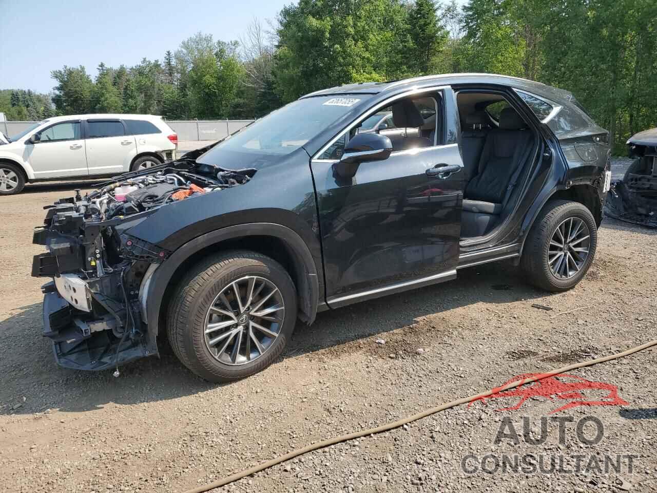 LEXUS NX 450H LU 2024 - JTJHKCFZ7R2021575