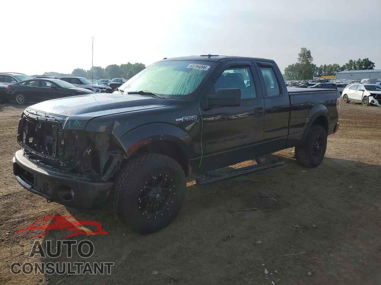 FORD F150 2014 - 1FTFX1EF2EFA43316