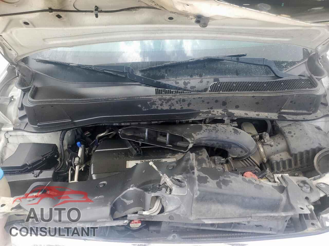 HONDA PILOT 2010 - 5FNYF3H57AB018548