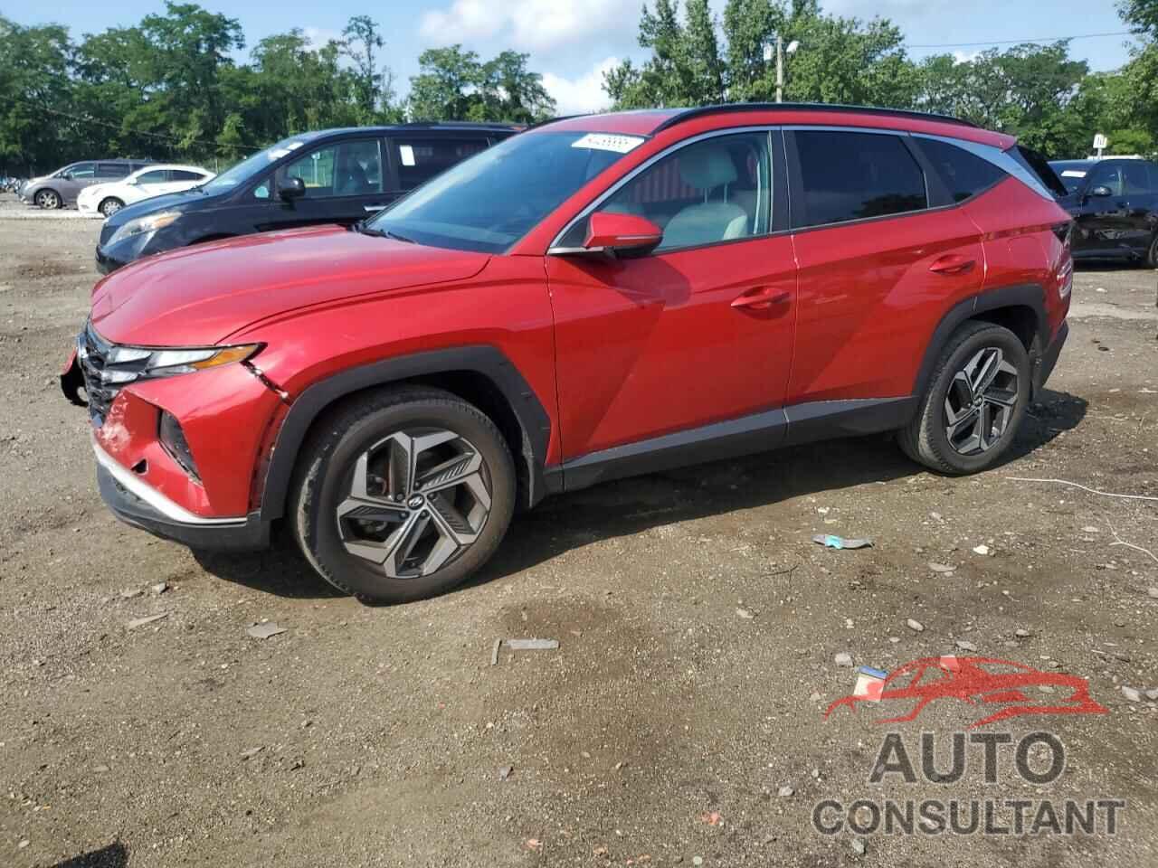 HYUNDAI TUCSON 2023 - 5NMJFCAE5PH164627