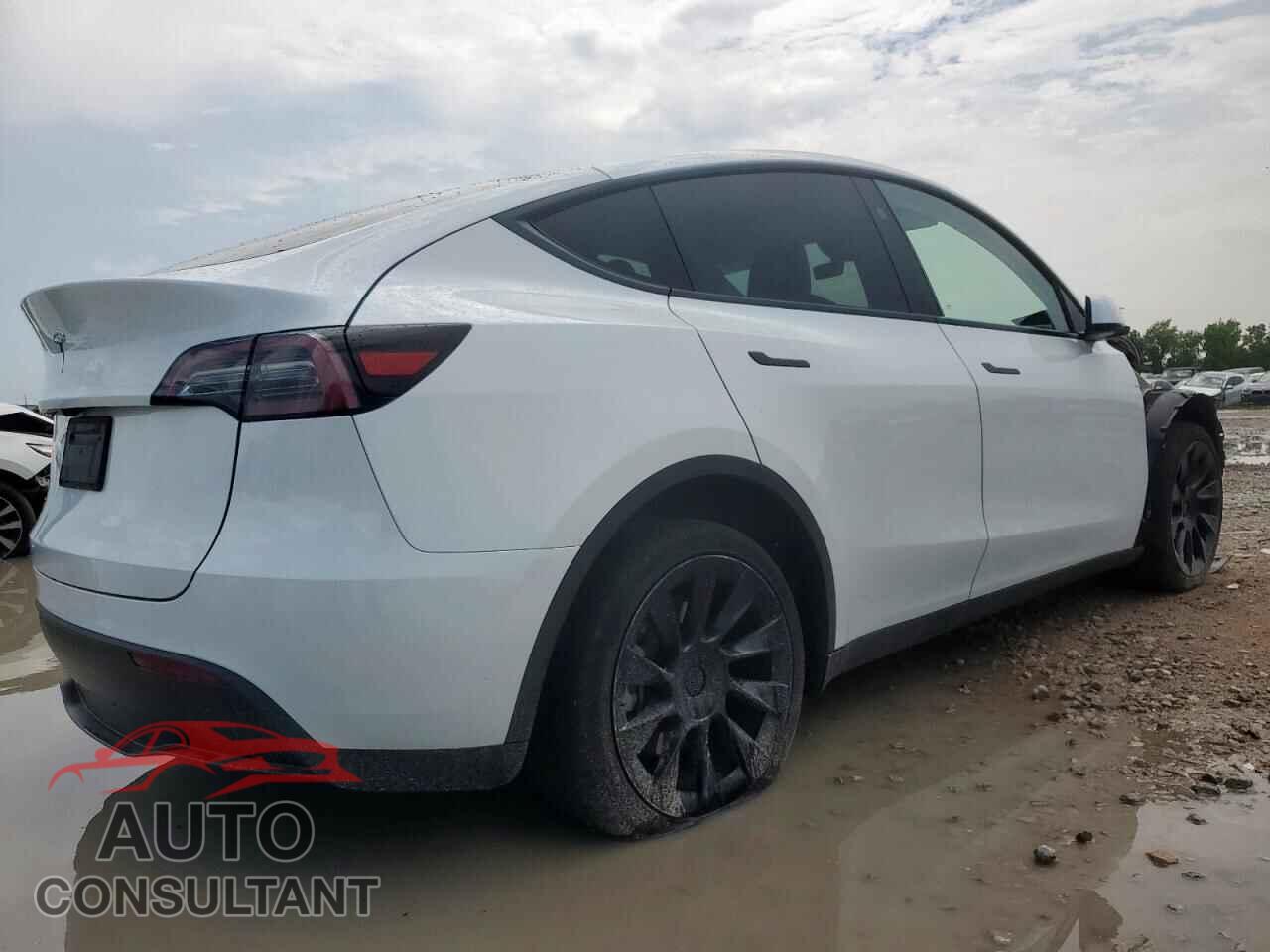 TESLA MODEL Y 2024 - 7SAYGDED3RF008399