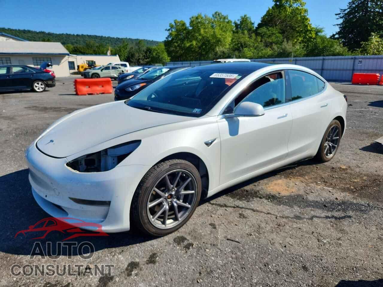TESLA MODEL 3 2020 - 5YJ3E1EB5LF665075