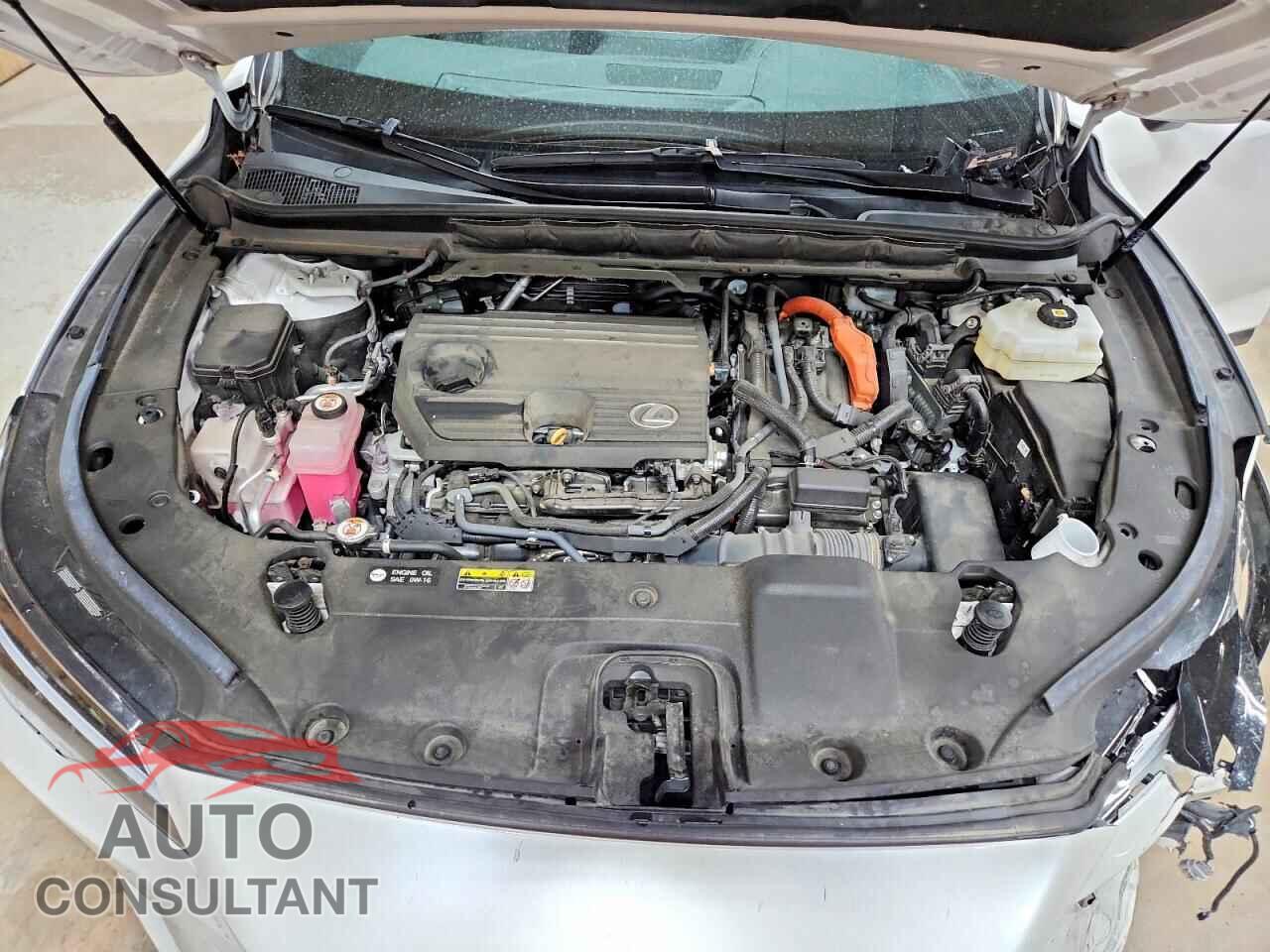 LEXUS UNKNOWN 2023 - 2T2BBMCAXPC005698