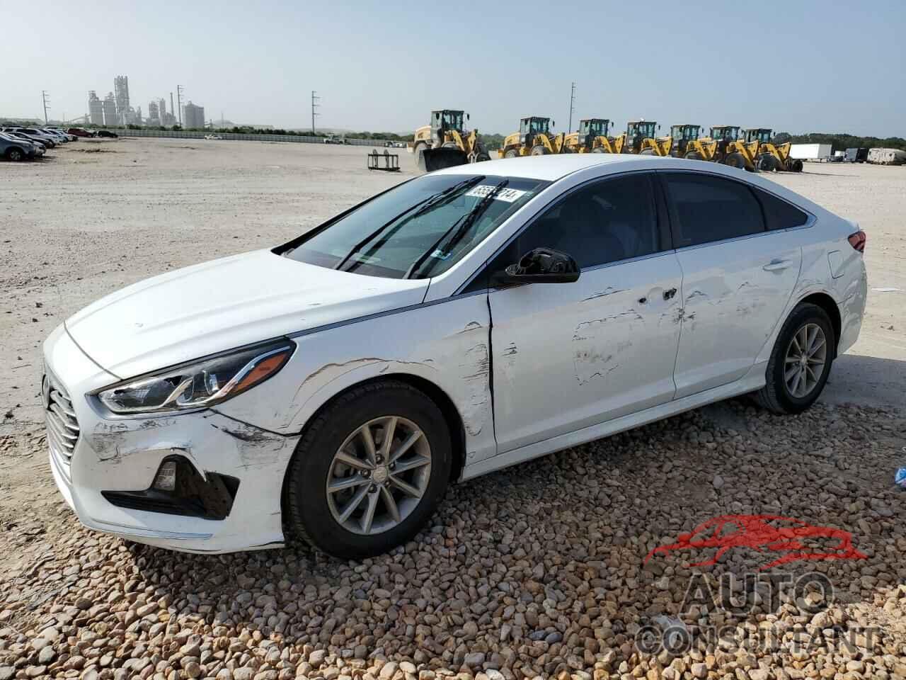 HYUNDAI SONATA 2019 - 5NPE24AF2KH815624