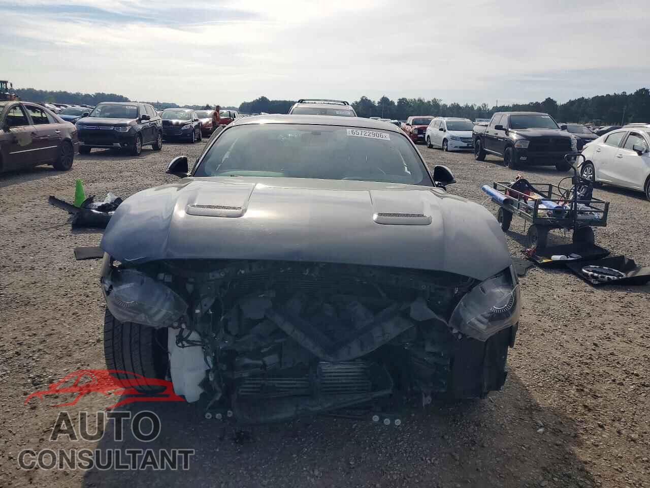 FORD MUSTANG 2020 - 1FA6P8TH0L5146207