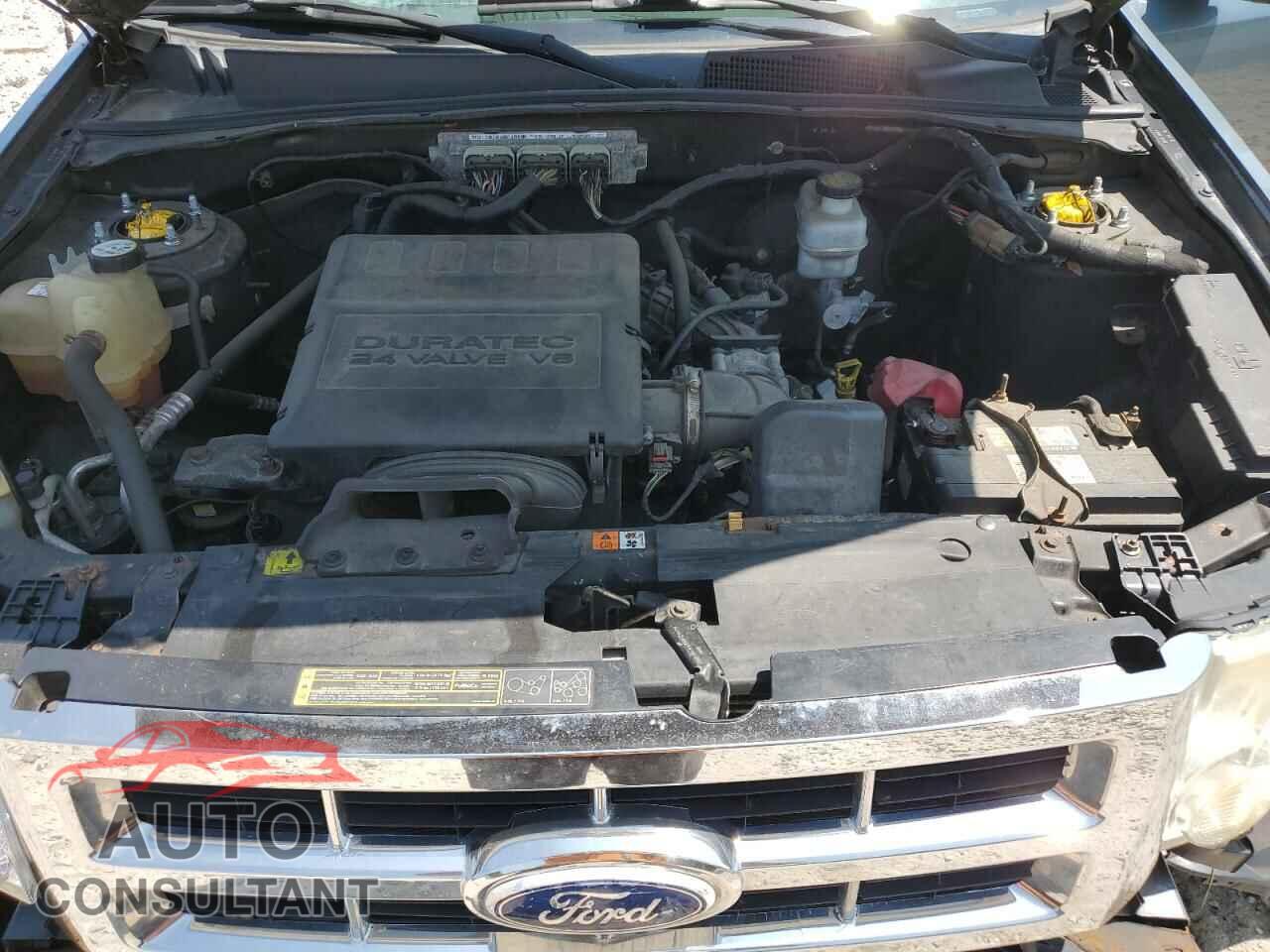 FORD ESCAPE 2010 - 1FMCU9EG3AKD11886