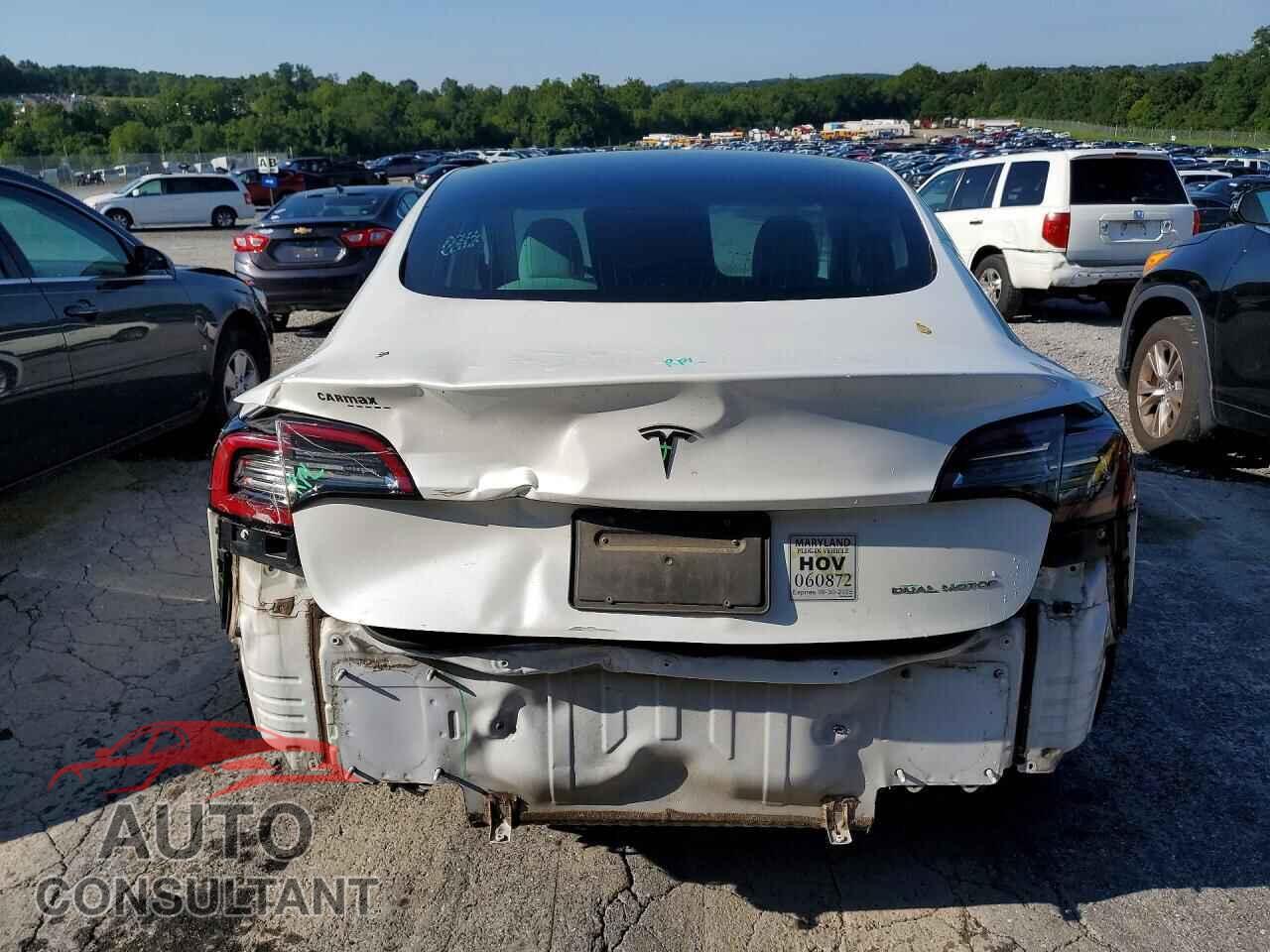 TESLA MODEL 3 2019 - 5YJ3E1EB8KF195610